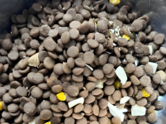 Chewy dog food: WDJ recommends dog food brands