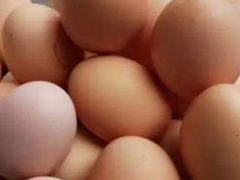 Egg nutrition:Eggs are rich in protein, fat, vitamins, iron, calcium, potassium